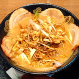 Negi-miso chashu ramen [Hanyu PA, Tokyo-bound]