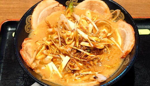 Negi-miso chashu ramen [Hanyu PA, Tokyo-bound]